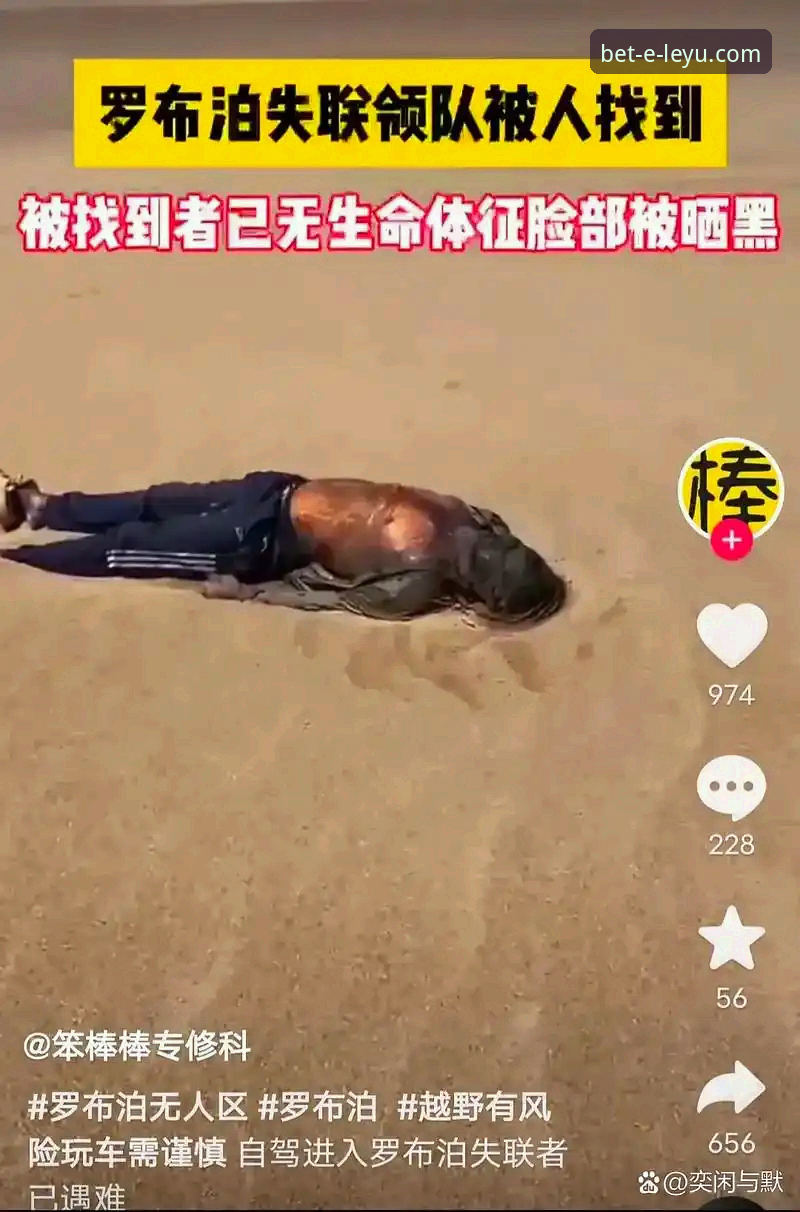 揭秘乐鱼体育官网安装失败的五大真相：资深分析师带你破解下载困局