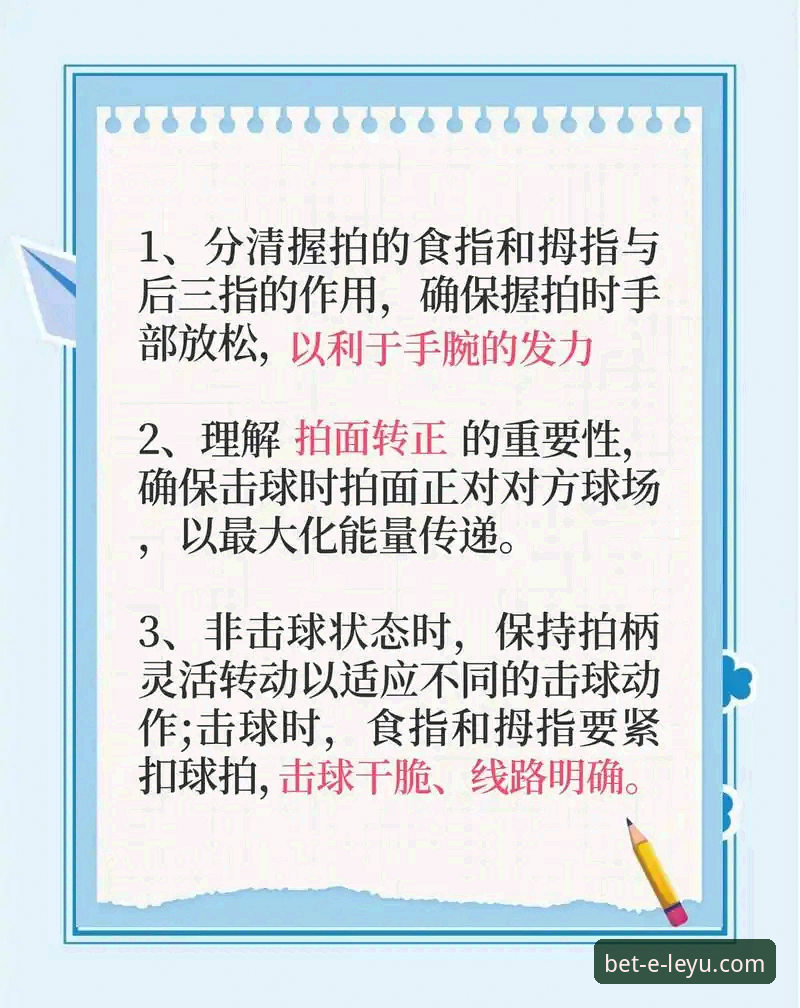 资深用户的乐鱼体育平台使用心得：从入门到精通的全流程攻略