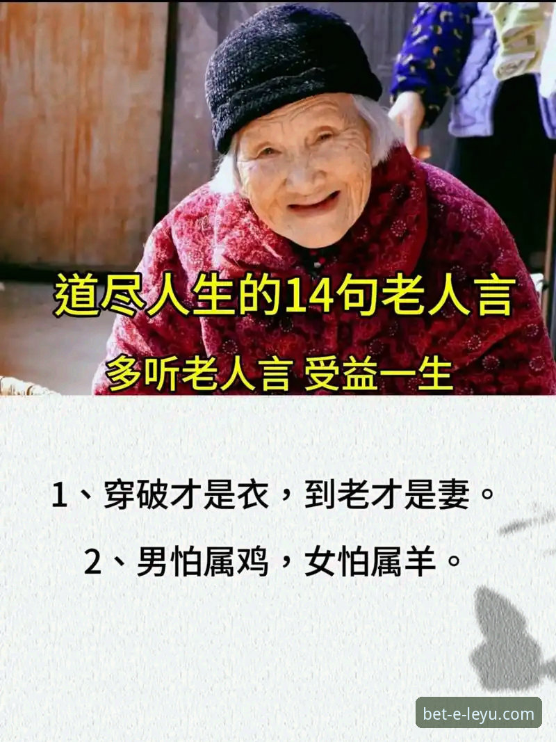 乐鱼体育赛事直播 老用户直言:乐鱼体育赛事直播让我找回看球的激情,这些使用心得你一定用得上